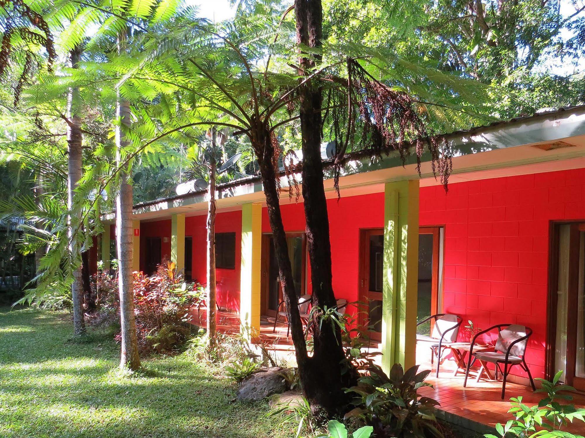 Daintree Rainforest Retreat Motel Eksteriør bilde